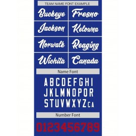 Custom Football Jersey Personalized with Team Name & Number - Women's Large Size Sports Shirt, Navy Blue & Red Color Scheme, Non-Stretch Fabric for Soccer, Team Uniforms, Gifts - Easy-Care Athletic Apparel, Sleeve Stripes, Detailing